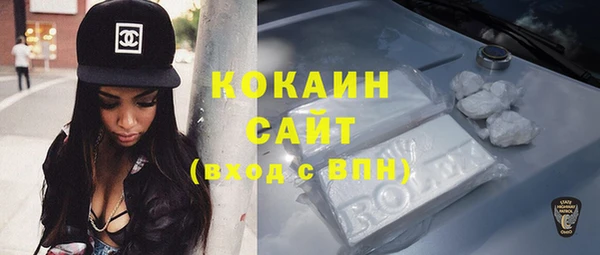 стаф Касимов
