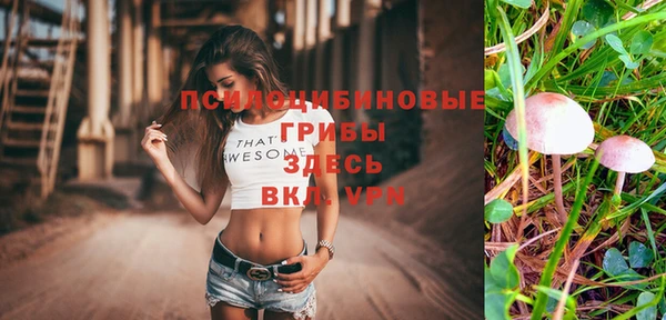 стаф Касимов