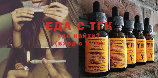 стаф Касимов