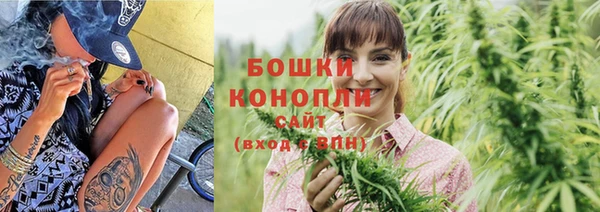 стаф Касимов