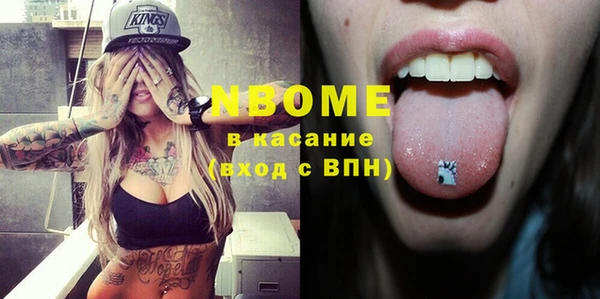 стаф Касимов