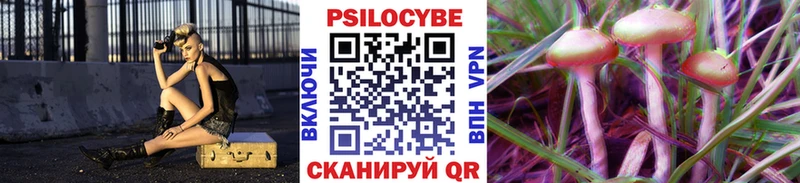 Купить где Армянск Галлюциногенные грибы прущие грибы
