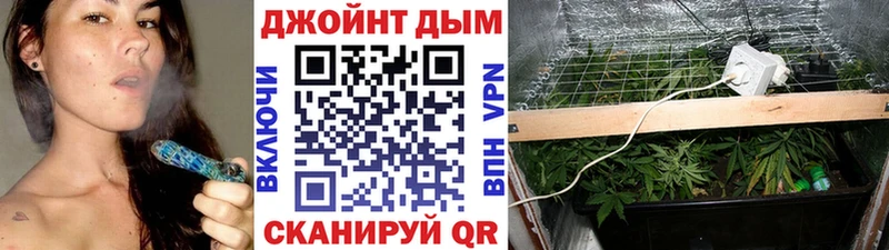 Бошки марихуана MAZAR  Купить  Армянск 